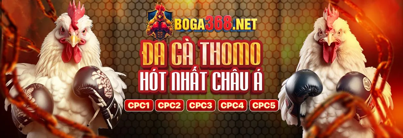 Blog loto288 nhà cái 2026: Giải mã cá cược, ưu đãi độc quyền